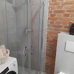 Loft 5 Min Od Starego Rynku, Netflix Poznań