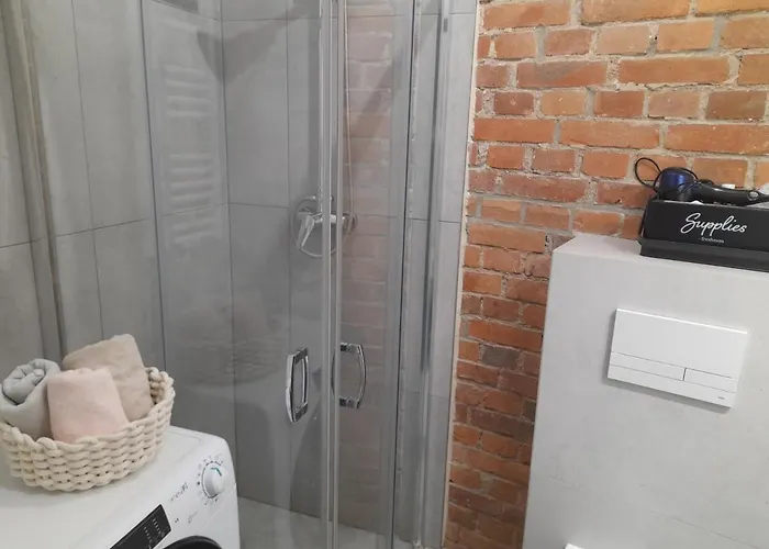 Loft 5 Min Od Starego Rynku, Netflix Poznań